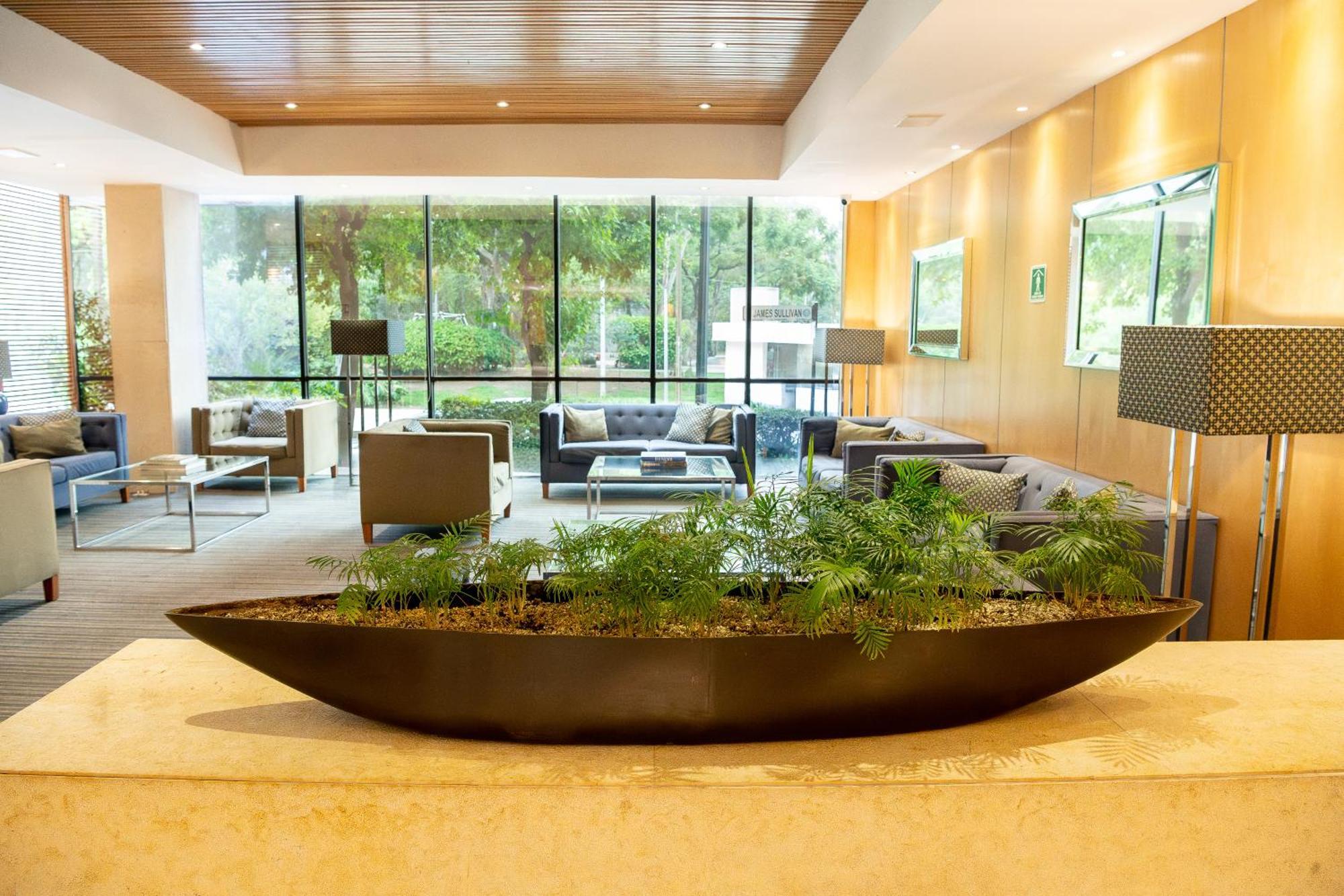 מקסיקו סיטי Hotel Stella Maris מראה חיצוני תמונה
